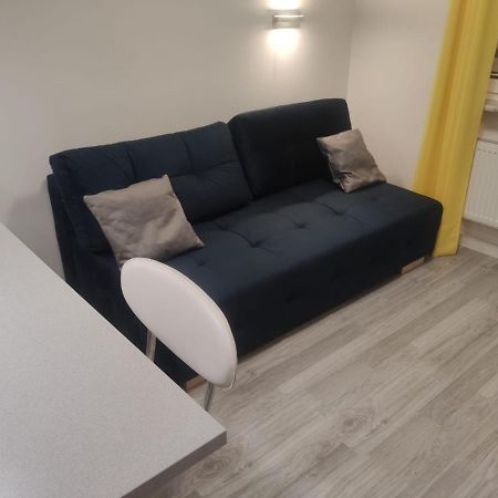 Comfortable Studio Only 20 Minutes From International Conference Center Katowice Best Place For Wuf2022 Eec Tnf Off Etc Siemianowice Śląskie Exteriör bild