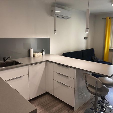 Comfortable Studio Only 20 Minutes From International Conference Center Katowice Best Place For Wuf2022 Eec Tnf Off Etc Siemianowice Śląskie Exteriör bild