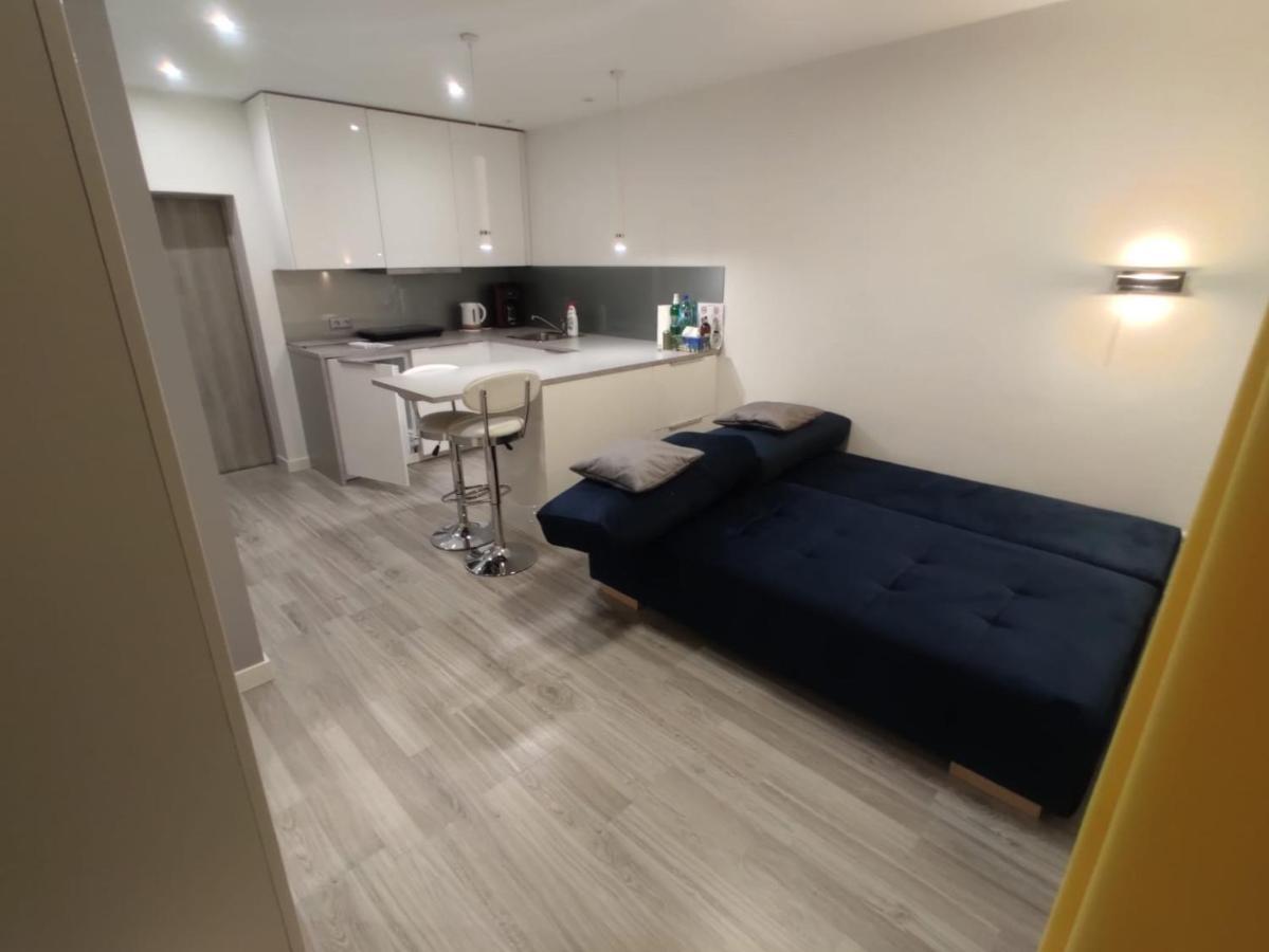 Comfortable Studio Only 20 Minutes From International Conference Center Katowice Best Place For Wuf2022 Eec Tnf Off Etc Siemianowice Śląskie Exteriör bild